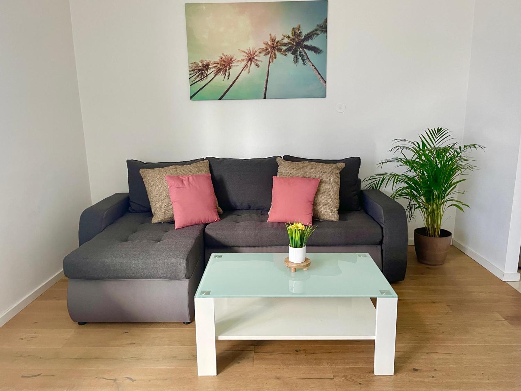 Large 2 Bedroom Close To Center Apartment